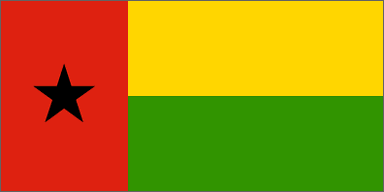 Guinean national flag 