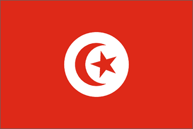 Tunisian national flag 